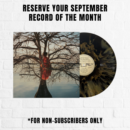 The Eldest Daughter [Tortoiseshell]