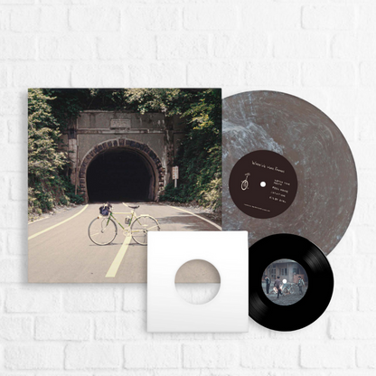 When We Were Friends [Exclusive Smog + 7" EP]